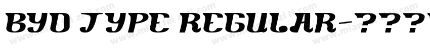 BYD TYPE REGULAR字体转换